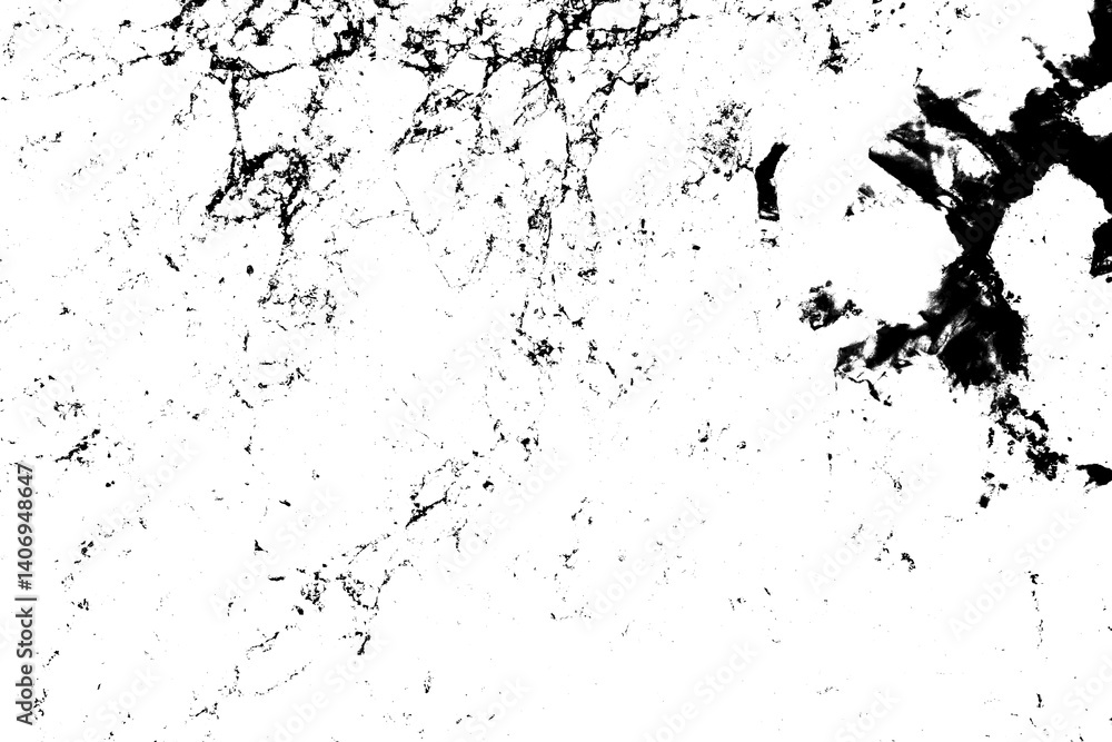 Obraz premium Abstract grunge black and white distressed texture background