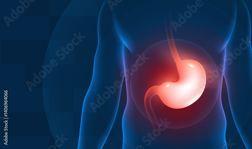 Medical health horizontal illustration human stomach highlighting reminder