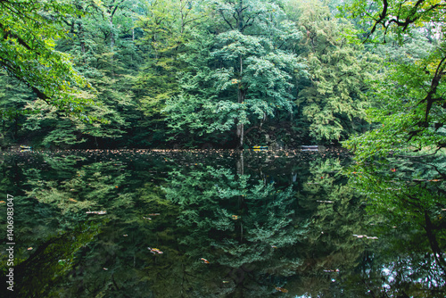 lake reflection, calm nature scene, Forest reflection in calm lake, Green trees mirrored in water, Peaceful forest and lake scene, Symmetrical nature in the lake, outdoor landscape, Persia, Iran