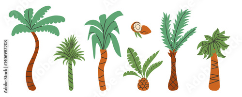 Set of different palm trees in cartoon style. Vector illustration of beautiful green palm trees. Isolated on white background. Tropical coconut trees. Hand drawn flat style illustration .