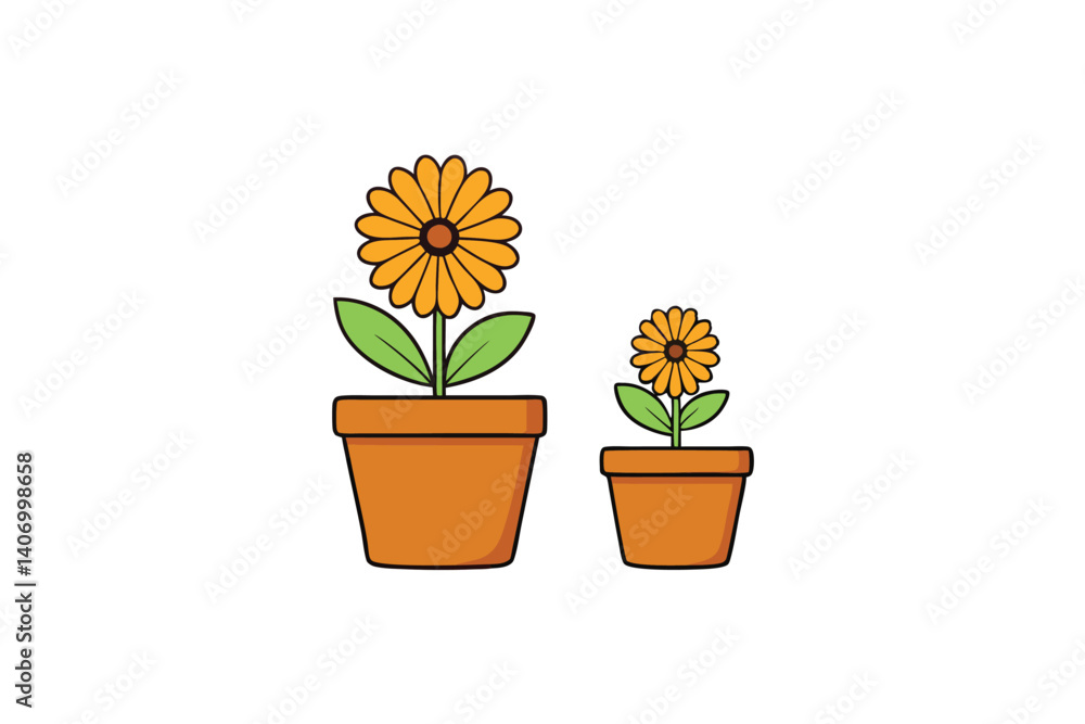 yellow flower in a pot yellow flower in a pot