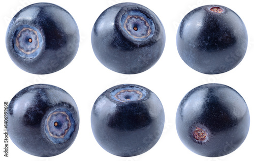 Bilberry isolated png. Bilberry on white or transparent background. Perfect retouched blueberries no background. Png bilberries collection. Full depth of field.