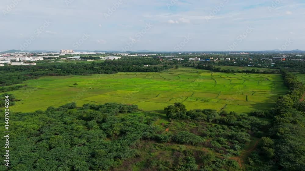 Drone shot of open field surrounded with trees and bushes during daytime. Panoramic view. Drone shot of open field surrounded with trees and bushes during daytime. Panoramic view.
