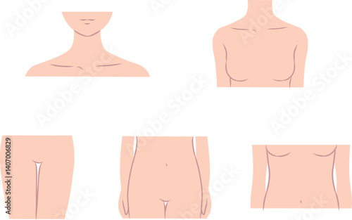 正面から見た女性の身体のパーツイラストセット