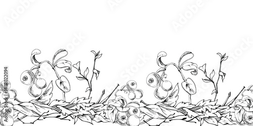Cranberry lingonberry twigs branches on dry leaves, vector hand drawn in ink. Ripe swamp forest berry, bearberry teaberry wintergreen. Isolated seamless banner border. Restaurant menu, farmers market