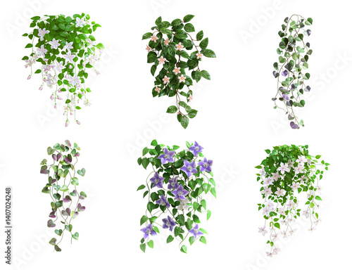 A collection of climbing plants or Haning plants, decorative plants with a transparent background 