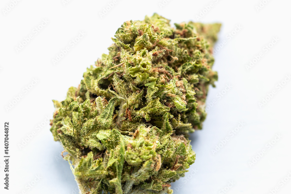 Macro image of single cannabis bud on white background, showing texture, trichomes and vibrant green tones for use in medical, wellness or lifestyle contexts. Close-up of cannabis flower bud Macro image of single cannabis bud on white background, showing texture, trichomes and vibrant green tones for use in medical, wellness or lifestyle contexts. Close-up of cannabis flower bud