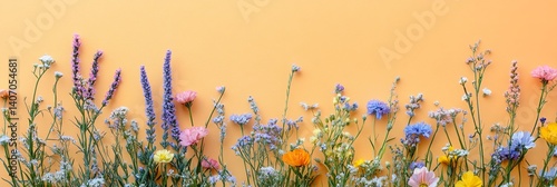 Colorful spring flowers arranged in a flat lay composition on a pastel background banner, featuring ample copy space for text. This vibrant flat lay of diverse wildflowers set against a rainbow-colore