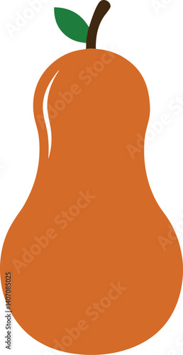 Butternut Squash vector illustration Isolated on white background