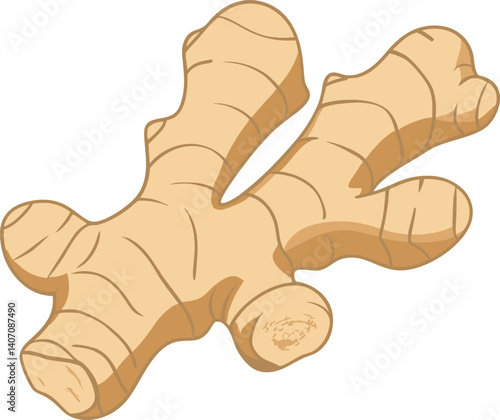 Ginger Root. isolated ginger on white background