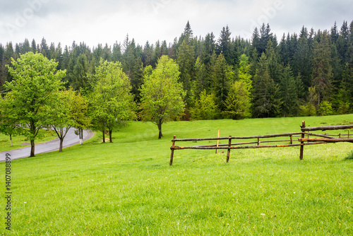 Obraz na płótnie countryside landscape in spring. wooden fence on the grassy meadow and forest on the hill. beautiful view in to the valley w salonie