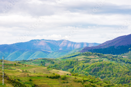 mountainous rural landscape in spring. alps ukraine.  trees and agricultural fields on hills rolling in to the distant valley. ridge beneath a overcast sky in dappled light. countryside environment