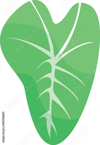 taro leaf illustration design