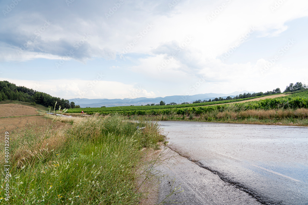 Fototapeta premium Tranquil Vineyards of La Rioja Post Storm