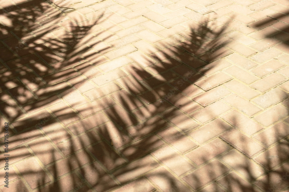Obraz premium Shadow of palm leaves cast on a brick pavement on a sunny day, creating a natural and abstract pattern. The interplay of light and shadow enhances the simple beauty of nature.