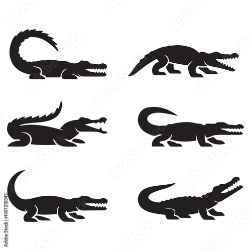 Photography Crocodile design on white background