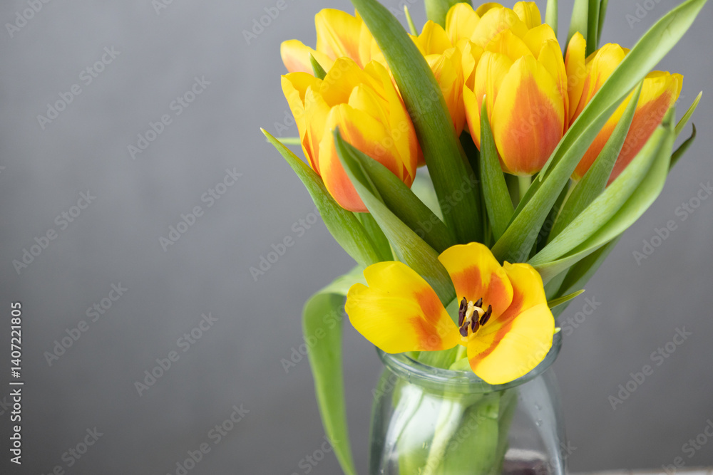 yellow tulips on gray background in glass vase. florist, flower shop. bouquet of flowers as gift for a woman on her birthday or March 8th. bouquet of tulips for holiday, postcard. space for text. yellow tulips on gray background in glass vase. florist, flower shop. bouquet of flowers as gift for a woman on her birthday or March 8th. bouquet of tulips for holiday, postcard. space for text.
