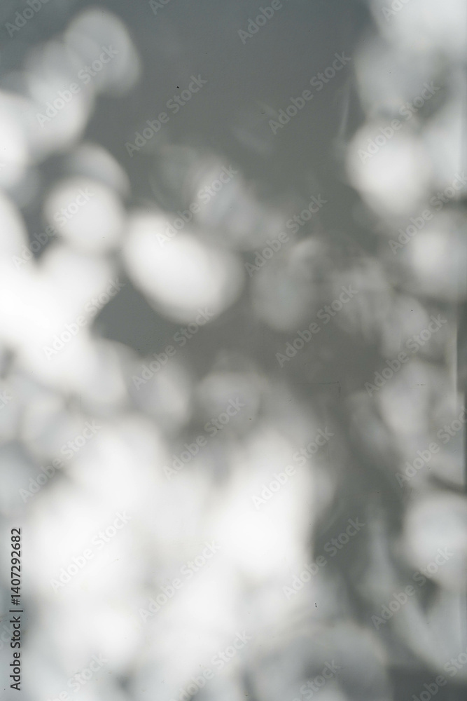 Abstract silhouette moving glare shadows of tree leaves reflection of sunlight on white wall.