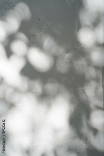 Obraz na płótnie Abstract silhouette moving glare shadows of tree leaves reflection of sunlight on white wall. w salonie