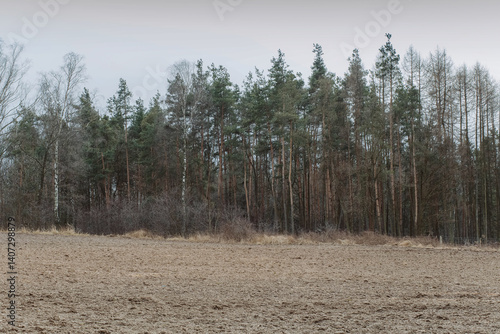 Wallpaper Mural Farmland and forest landscape in Silesia, Poland during drizzle – rural atmosphere, nature, and subtle rainy mood Torontodigital.ca