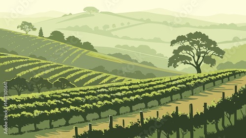 Lush vineyards in Sonoma County with fog – California, USA
