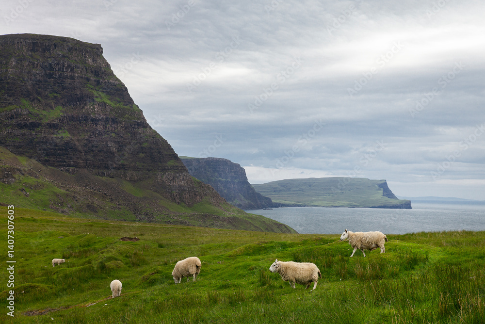 Fototapeta premium Ile de Skye Ecosse