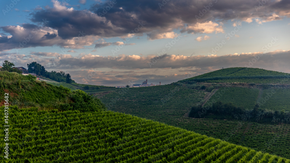 Fototapeta premium Sunrise over vineyards in Piedmont near Cisterna D'Asti