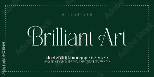 Signature Font Calligraphy Logotype Script Font Type Font lettering handwritten