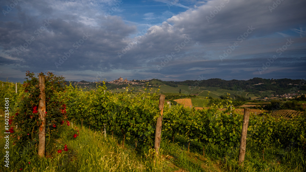 Fototapeta premium Early morning over vineyards in Piemonte, Italy
