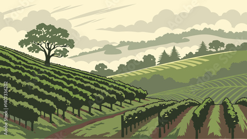 Lush vineyards in Sonoma County with fog – California
