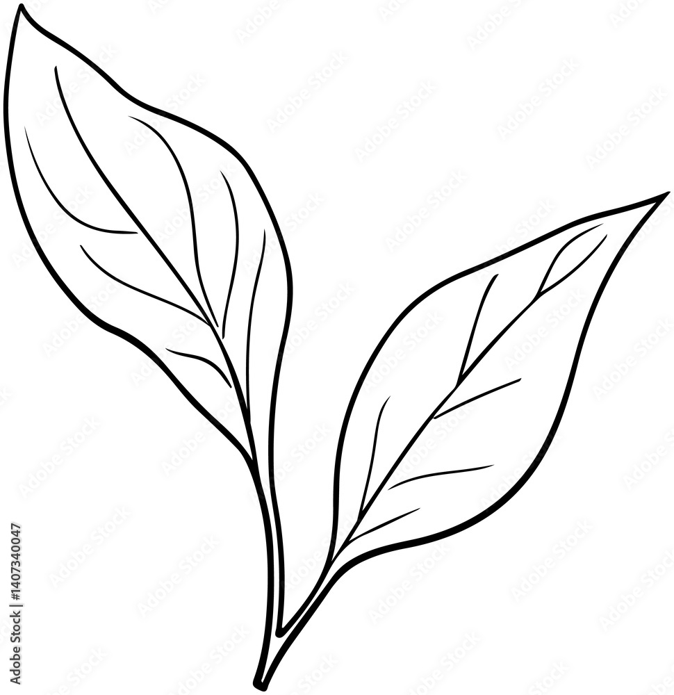 Obraz premium Hand Drawn Tea Leaves 