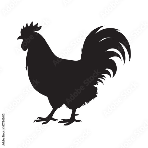 Chicken Silhouette Vector Illustration White Background.