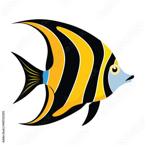 angelfish fish on white background