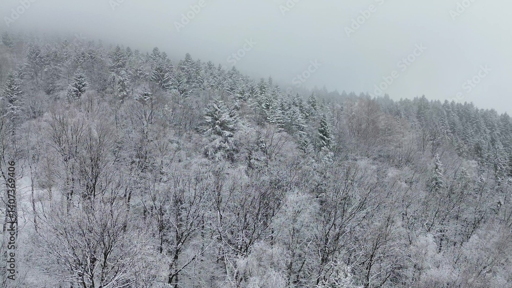 Winter countryside with snow-covered trees and homes