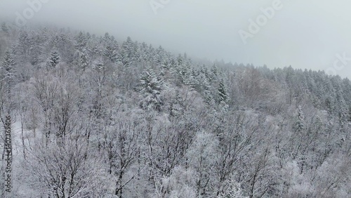 Obraz na płótnie Winter countryside with snow-covered trees and homes w salonie