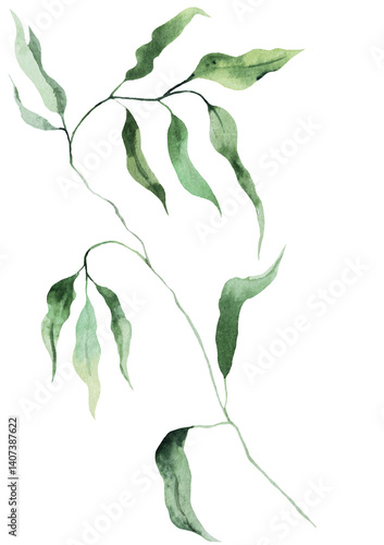 Obraz na płótnie Watercolor twig with green leaves isolated illustration, botanical summer wedding element w salonie