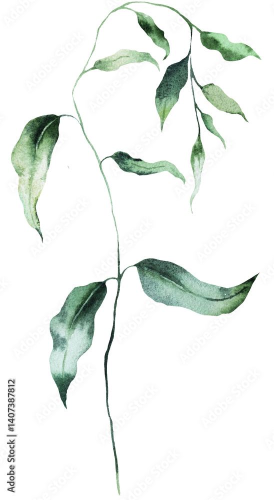 Watercolor twig with green leaves isolated illustration, botanical summer wedding element