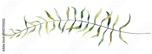 Obraz na płótnie Watercolor tiny twigs with green leaves isolated illustration, botanical wedding element w salonie
