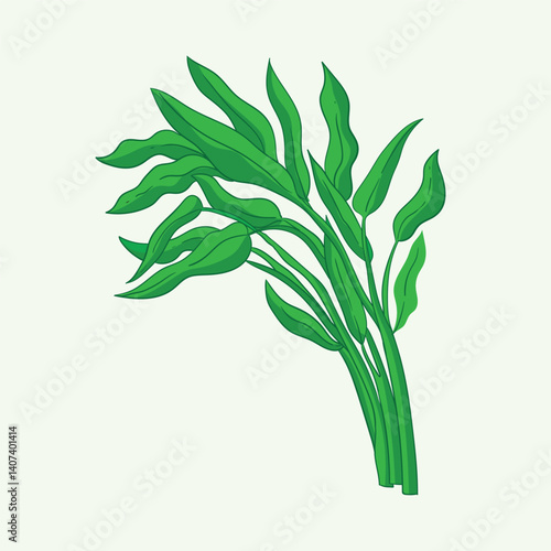Water Spinach Plants Flat Design Cartoon Illustration