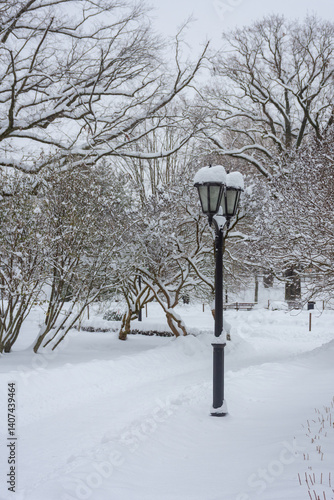 Snowy park of Riga in winter,  Latvia