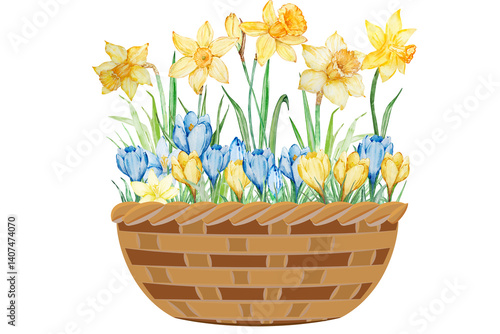 yellow daffodils in basket