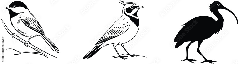 Obraz premium Horned Lark, Vibrant Scarlet Ibis, and Tiny Black-Capped Chickadee in Beautiful Bird Scenes