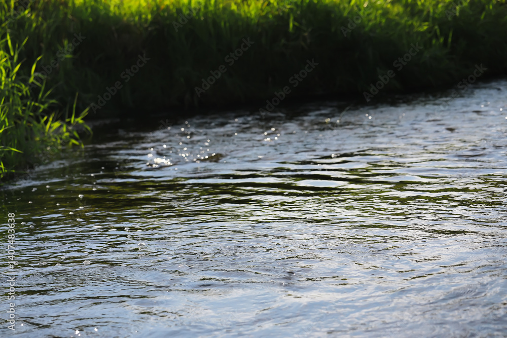 Fototapeta premium Serene Rippling Stream in Nature with Green Grassy Banks and Sunlight Reflections