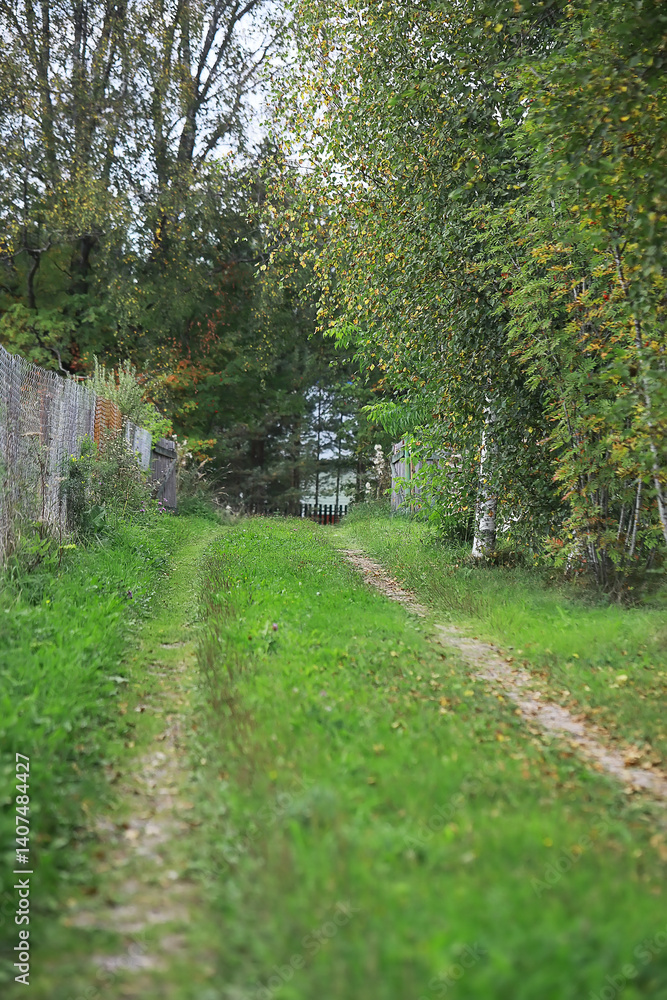 Fototapeta premium Scenic Rural Path with Lush Green Foliage and Trees in Country Landscape
