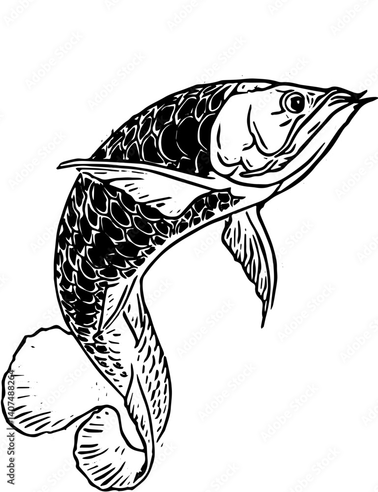 Naklejka premium vector illustration of a fish