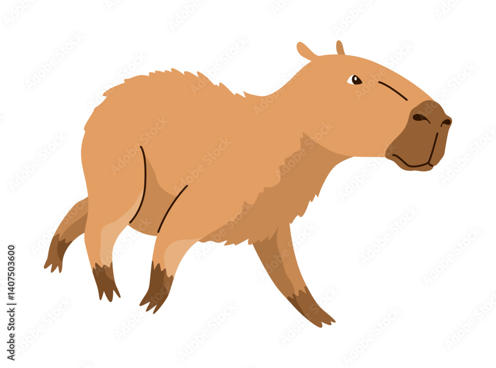 Fototapeta premium Capybara. Cartoon cute animal, wild herbivore mammal resting. Funny adorable exotic animal relaxing. Cartoon flat vector illustration