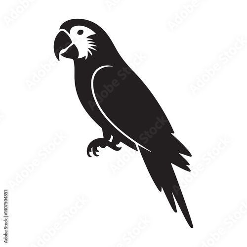 parrot bird silhoutte illustration with a white backraund
