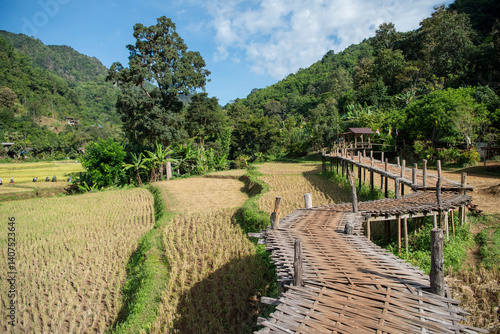 THAILAND PHRAE WAT NA KHU HA RICEFIELD
