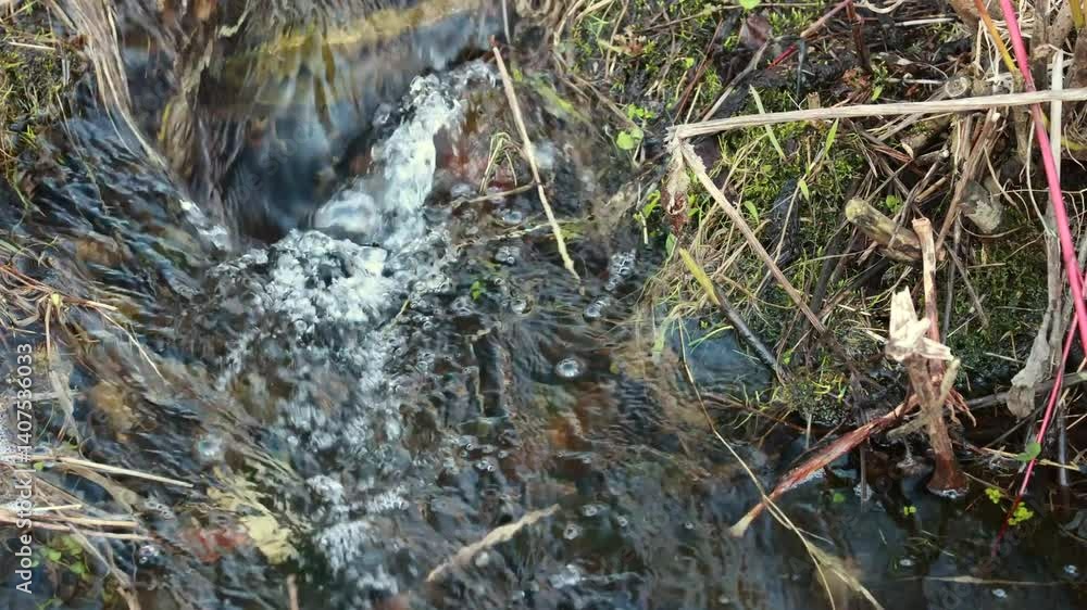 A Close-Up View of a Rushing Stream with Clear Water Flowing Through Natural Grass, Capturing the Dynamic Movement of Water and the Serenity of Untouched Nature.