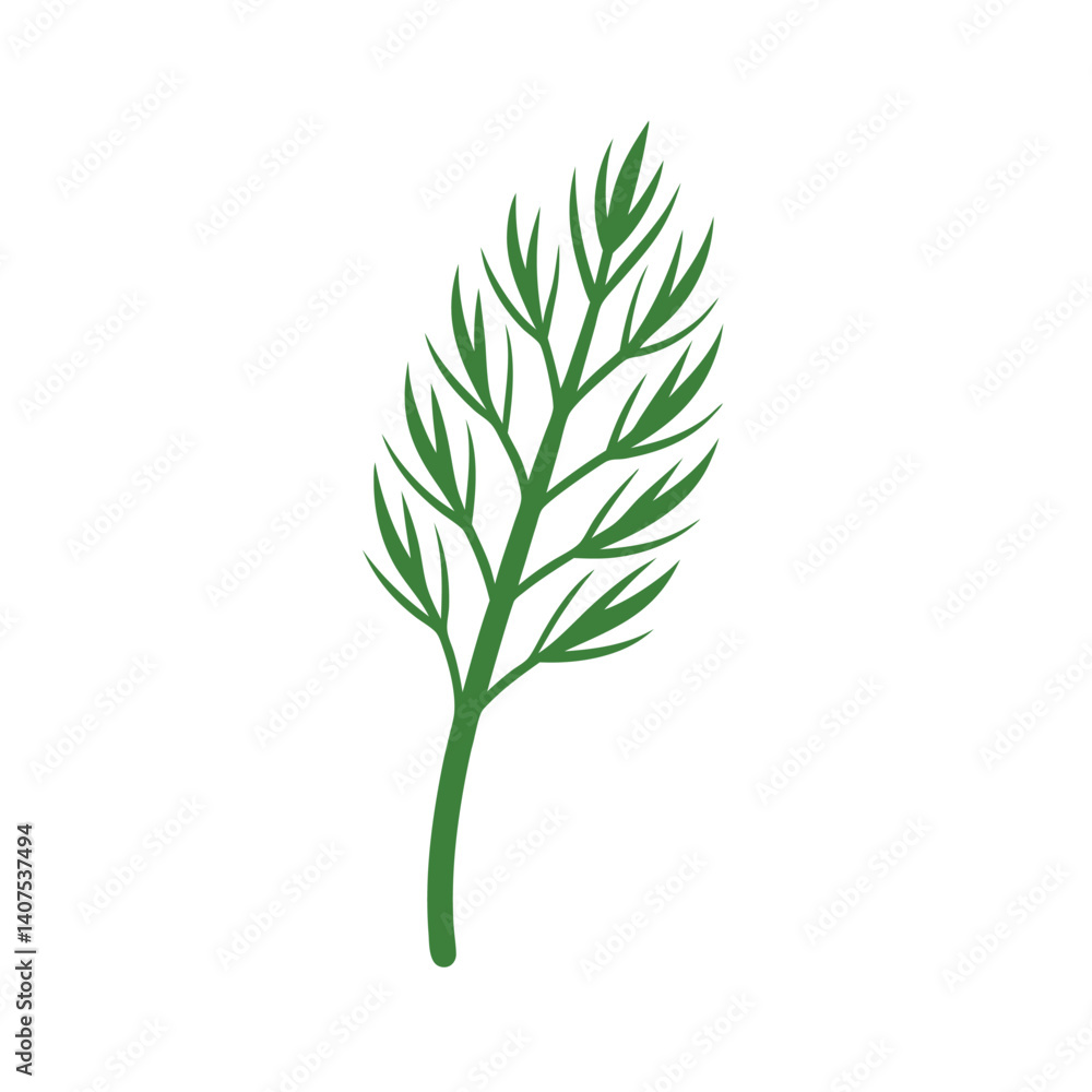 Naklejka premium green dill isolated on white background